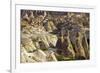Cappadocia Landscape, Cavusin, (Pasabag), Near Zelve, Anatolia, Turkey, Asia Minor, Eurasia-Simon Montgomery-Framed Photographic Print