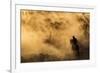 Cappadocia wild horses-Dan Mirica-Framed Photographic Print