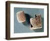 Cappadocian Letter and Envelope, from Turkey, 2000-1800 BC-Hittite-Framed Giclee Print