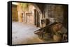Cappellari Street near Campo De' Fiori.-Stefano Amantini-Framed Stretched Canvas