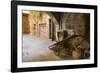 Cappellari Street near Campo De' Fiori.-Stefano Amantini-Framed Photographic Print