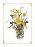 Assorted Ferns-Cappello-Art Print
