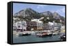 Capri 2-Chris Bliss-Framed Stretched Canvas