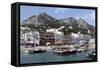 Capri 2-Chris Bliss-Framed Stretched Canvas