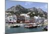 Capri 2-Chris Bliss-Mounted Photographic Print