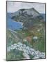 Capri, c.1904-Maurice Greiffenhagen-Mounted Giclee Print