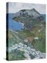 Capri, c.1904-Maurice Greiffenhagen-Stretched Canvas