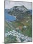 Capri, c.1904-Maurice Greiffenhagen-Mounted Giclee Print