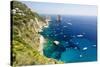 Capri Coastline at Faraglioni, Italy-George Oze-Stretched Canvas