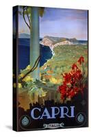 Capri Italia-Vintage Apple Collection-Stretched Canvas