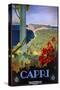 Capri Italia-Vintage Apple Collection-Stretched Canvas