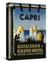 Capri Travel Poster-null-Stretched Canvas