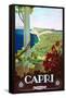 Capri-Mario Borgoni-Framed Stretched Canvas