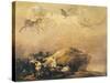 Capriccio Scene: Animals in the Sky-Francisco de Goya-Stretched Canvas