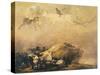 Capriccio Scene: Animals in the Sky-Francisco de Goya-Stretched Canvas