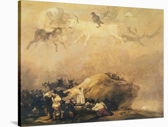 Capriccio Scene: Animals in the Sky-Francisco de Goya-Stretched Canvas