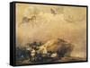 Capriccio Scene: Animals in the Sky-Francisco de Goya-Framed Stretched Canvas