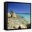 Capriccioci, Costa Smeralda, Sardinia, Italy, Mediteranean, Europe-John Miller-Framed Stretched Canvas