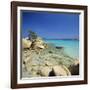 Capriccioci, Costa Smeralda, Sardinia, Italy, Mediteranean, Europe-John Miller-Framed Photographic Print