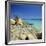 Capriccioci, Costa Smeralda, Sardinia, Italy, Mediteranean, Europe-John Miller-Framed Photographic Print