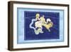 Capricorn and Aquarius-null-Framed Art Print