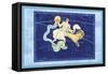 Capricorn and Aquarius-null-Framed Stretched Canvas