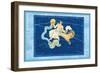 Capricorn and Aquarius-null-Framed Art Print