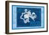Capricorn and Aquarius-null-Framed Art Print