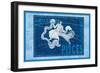 Capricorn and Aquarius-null-Framed Art Print