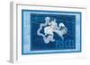 Capricorn and Aquarius-null-Framed Art Print