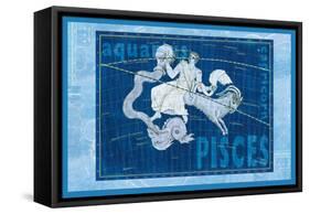 Capricorn and Aquarius-null-Framed Stretched Canvas