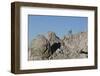Capricorn on Rocky Ridge-Jurgen Ulmer-Framed Photographic Print