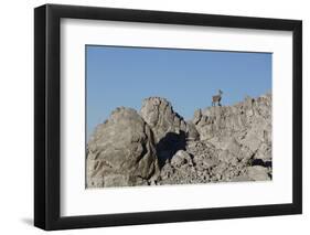 Capricorn on Rocky Ridge-Jurgen Ulmer-Framed Photographic Print