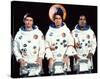 Capricorn One-null-Stretched Canvas