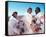 Capricorn One-null-Framed Stretched Canvas