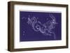 Capricorn-Roberta Norton-Framed Photographic Print