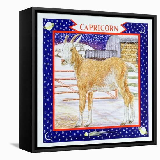 Capricorn-Catherine Bradbury-Framed Stretched Canvas