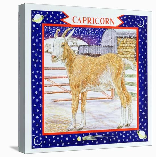 Capricorn-Catherine Bradbury-Stretched Canvas