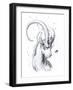 Capricorn-JoJoesArt-Framed Giclee Print