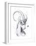 Capricorn-JoJoesArt-Framed Giclee Print