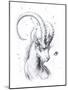 Capricorn-JoJoesArt-Mounted Giclee Print