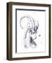 Capricorn-JoJoesArt-Framed Giclee Print