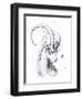 Capricorn-JoJoesArt-Framed Giclee Print