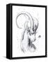 Capricorn-JoJoesArt-Framed Stretched Canvas