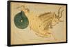 Capricornus Constellation, Zodiac Sign, 1825-Science Source-Framed Stretched Canvas