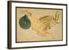 Capricornus Constellation, Zodiac Sign, 1825-Science Source-Framed Giclee Print