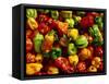 Capsicums at Brixton Market, Brixton, London, England-Neil Setchfield-Framed Stretched Canvas