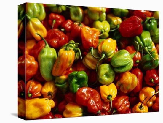 Capsicums at Brixton Market, Brixton, London, England-Neil Setchfield-Stretched Canvas