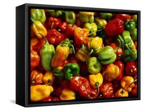 Capsicums at Brixton Market, Brixton, London, England-Neil Setchfield-Framed Stretched Canvas