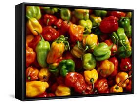 Capsicums at Brixton Market, Brixton, London, England-Neil Setchfield-Framed Stretched Canvas